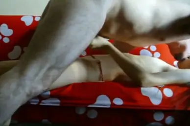 Gaya Bookingan ABG Bispak Main Di Kamar Executive